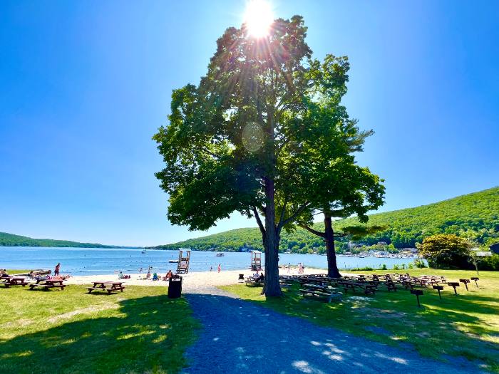 Lakeside beach with picnic tables in summer